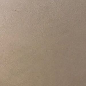 POSH AMBASSADOR 🦋